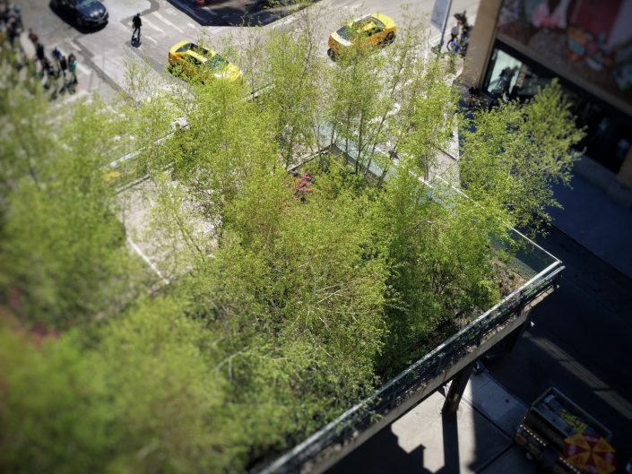 Highline New York by Laurent Reich