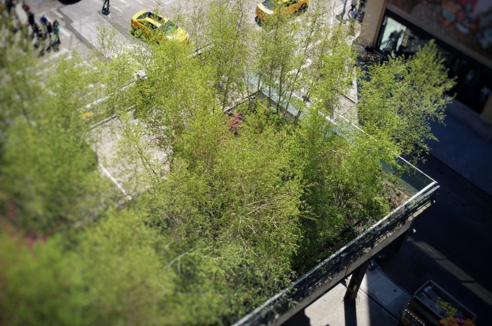HighLine New York : un trait vert dans la ville