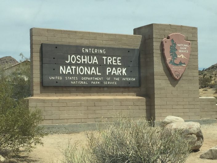 Joshua Tree Californie 544