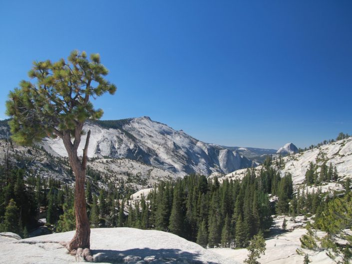 Yosemite Californie 1324 by Laurent Reich