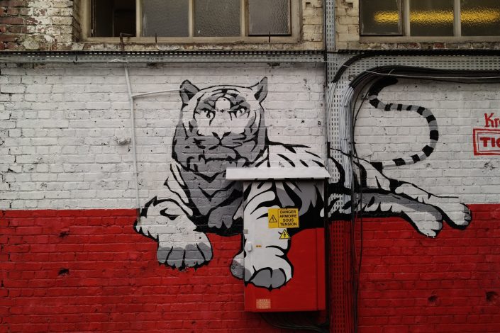 Grand Train Graff Tiger