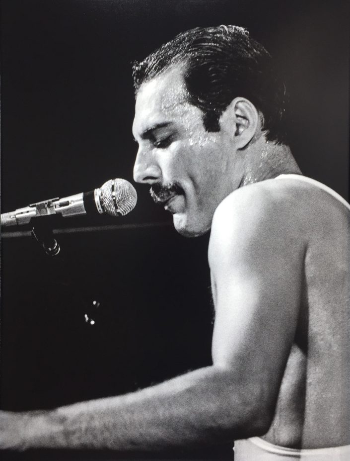 Freddie Mercury - Photo P.Hamon