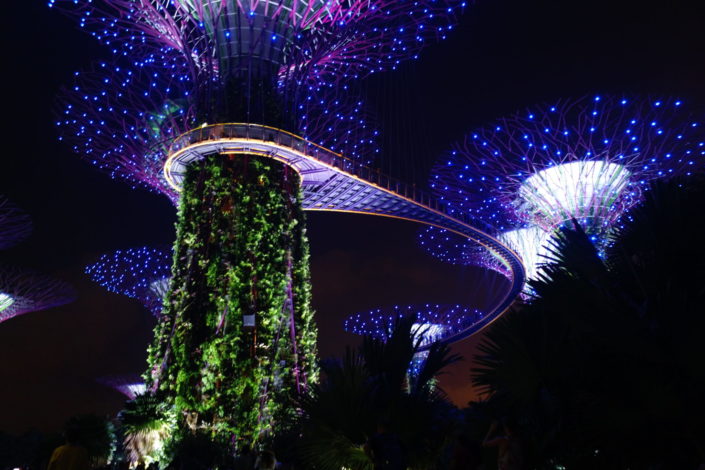 Singapore - Gardens by the Bay - (c) 2018 Laurent Reich