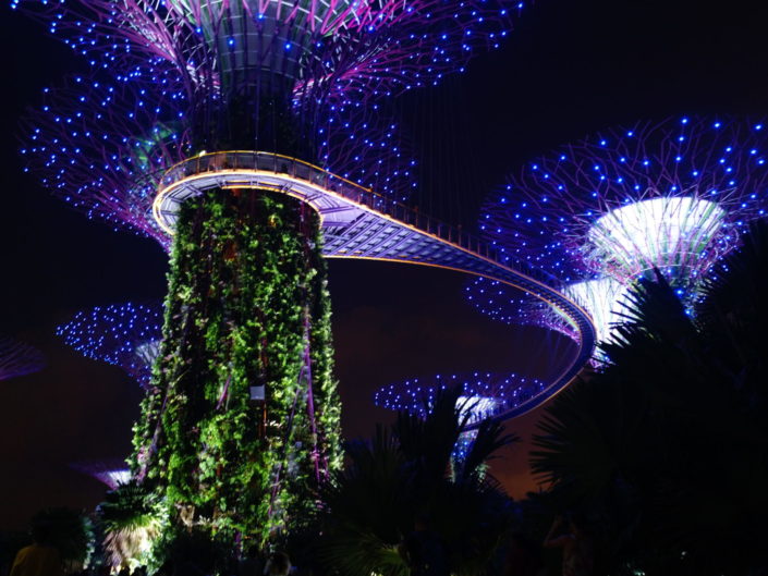 Singapore - Gardens by the Bay - (c) 2018 Laurent Reich