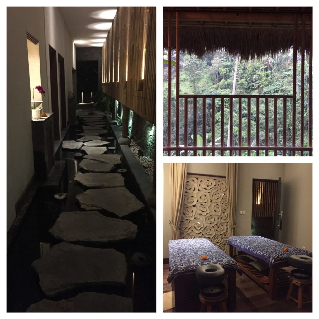 intérieur du spa de l'hôtel avec vue sur la jungle