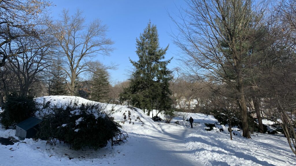 Central Park (New-York) sous la neige