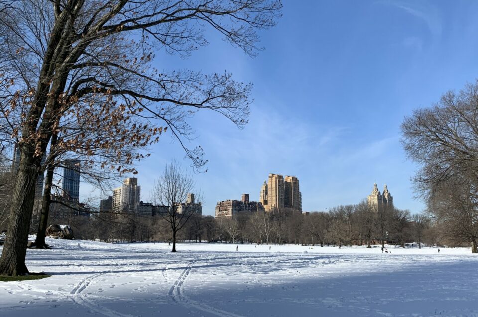 Central Park sous la neige de New-York pour un contraste bleu blanc