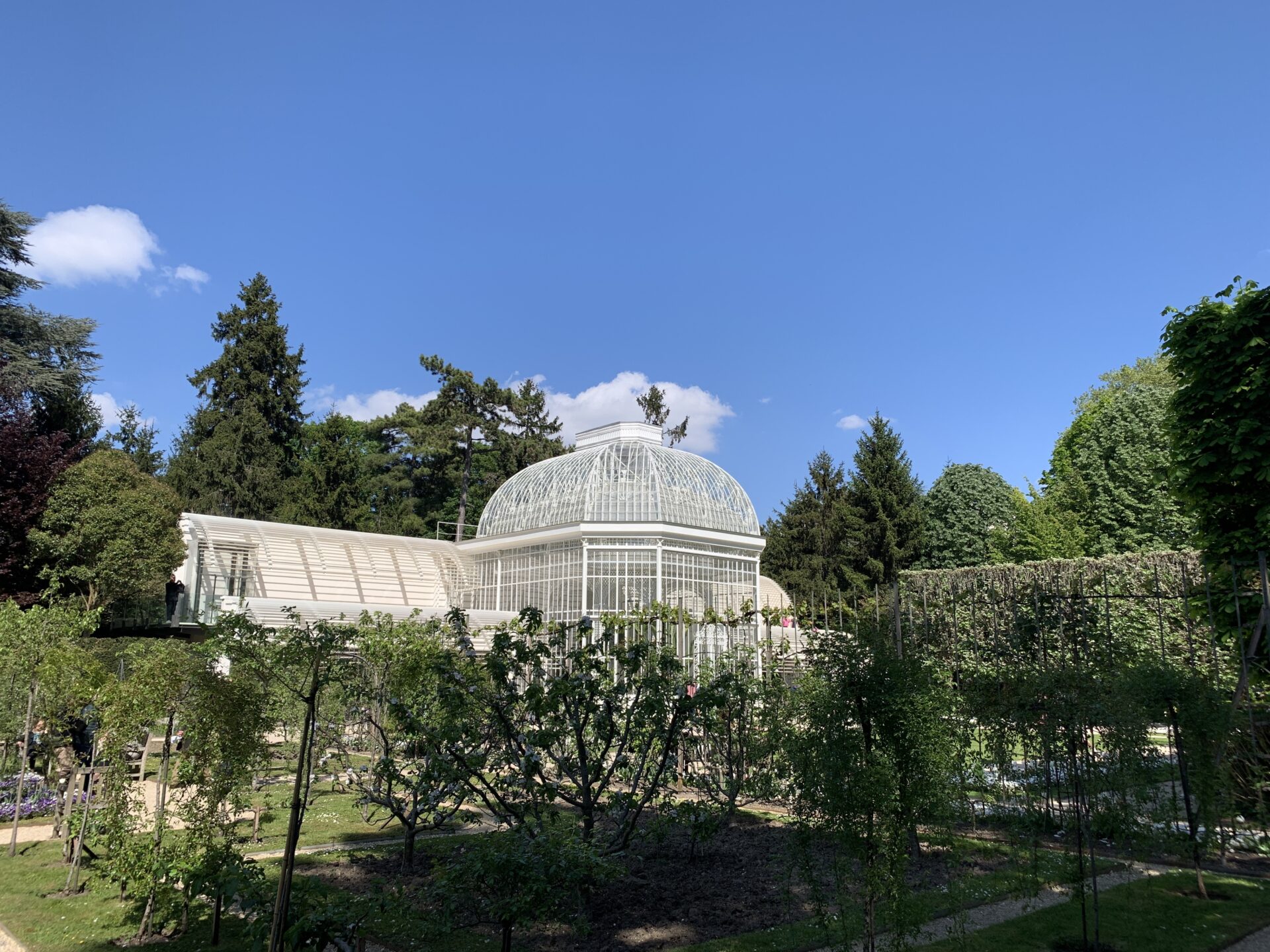 Jardin Albert Khan - La grande Serre